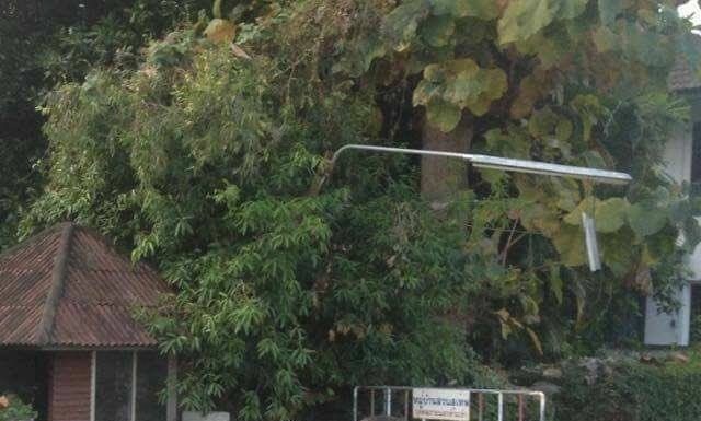 LIFELIKE DOLL RIDES SCOOTER