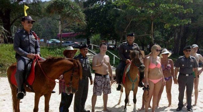 MEANWHILE AT THE BEACH