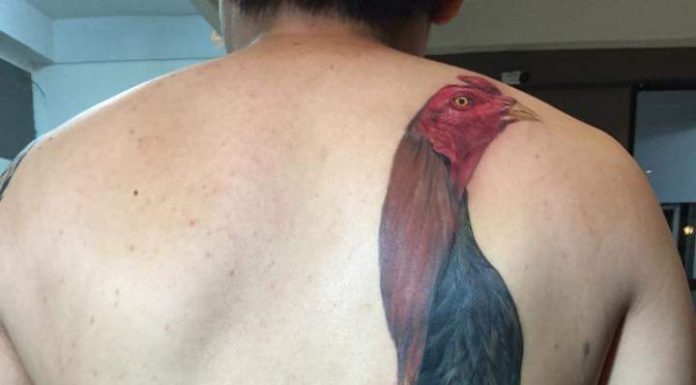 COCK TATTOO