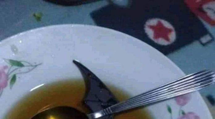 IS THIS HOW CORONA STARTED?