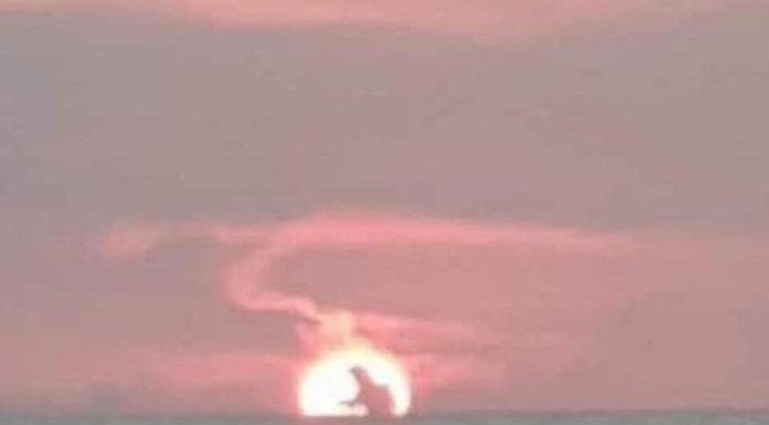 CAN 2020 GET ANY WORSE?