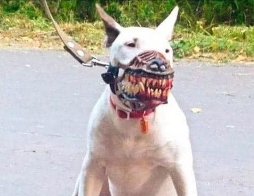 THAT SHOULD HELP THE FUCKERS KEEP THEIR SOCIAL DISTANCE!