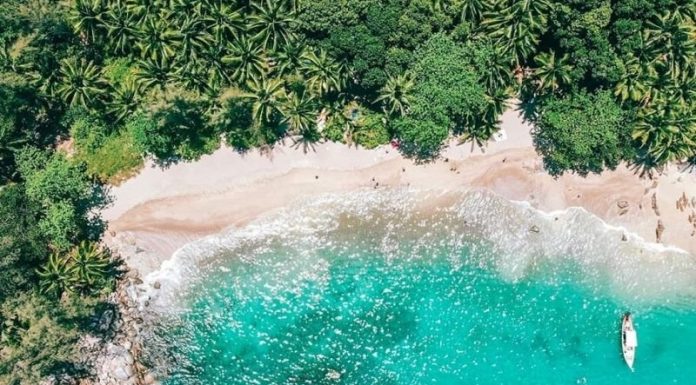 Plan to reopen five islands to foreign tourists by August