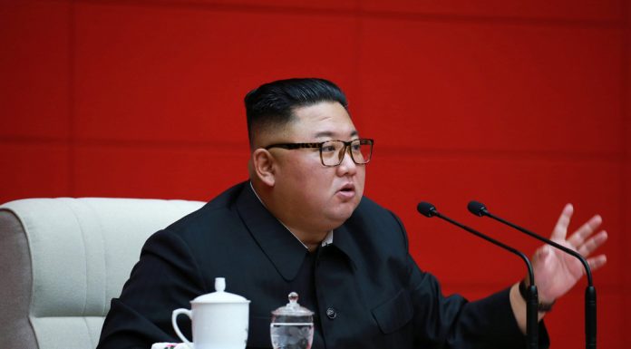 North Koreans ‘forced to hand over pet dogs to be sold to restaurants’ for meat