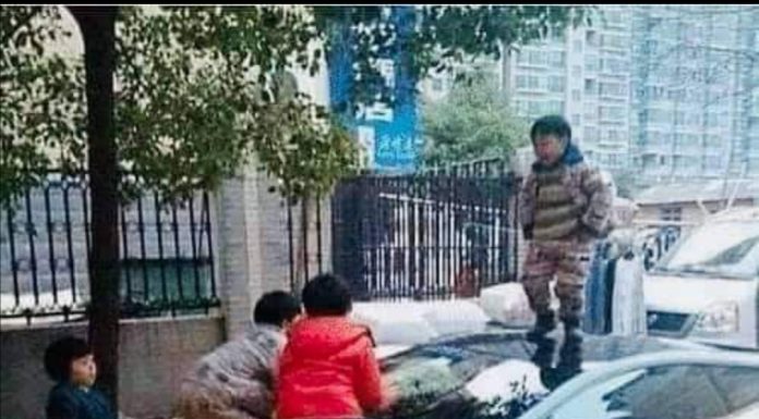 Anybody got a shotgun?