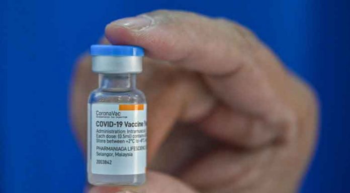 Sinovac vaccine barely effective against Alpha or Delta COVID-19 variants