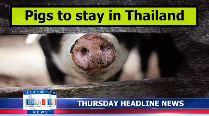 Latest Thailand News