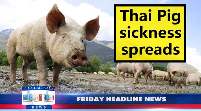 Latest Thailand News