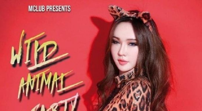 WILD ANIMAL PARTY @ MCLUB