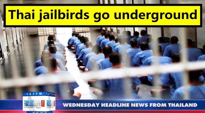 Latest Thailand News