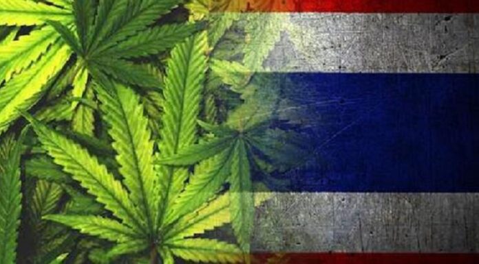 Cannabis flower bud now a controlled substance with restrictions