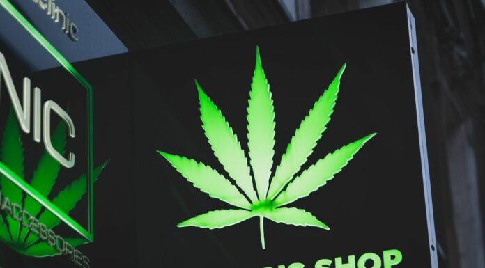 Where you can get cannabis in Pattaya