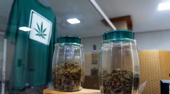 New Thai PM Says That He Opposes Recreational Marijuana Use