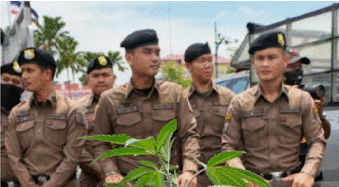 Thailand Shuts Down Over 1,000 Cannabis Shops in Nationwide Crackdown
