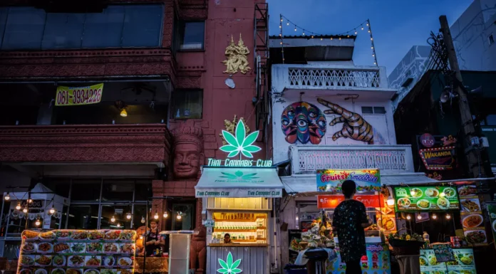 Thailand Cannabis Laws Review: Government Reconsiders Restrictions After Industry Pressure
