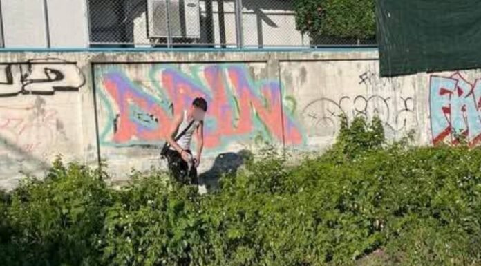 Alleged Phuket Vandalism by Foreign Nationals Sparks Outcry in Phuket