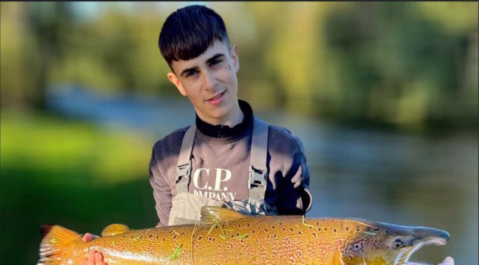 British Teen Arrested in Qatar After Transit From Thailand Faces Drug Smuggling Charges