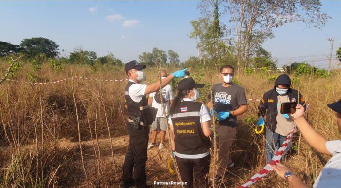 Missing Russian Man Murdered in Thailand, Dismembered Body Found in Pattaya