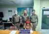 Indian Tourist Targeted in Pattaya Necklace Theft, Transgender Woman Arrested