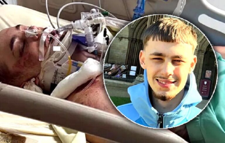 British tourist fights for his life after falling from pickup truck in ...