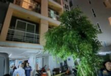 British Man Dies After Fall From Eighth Floor Condominium Near Pattaya