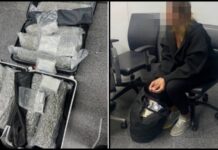 Belgian Tourist Arrested at Phuket Airport After Alleged Attempt to Smuggle 31.7kg of Cannabis