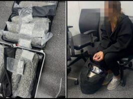 Belgian Tourist Arrested at Phuket Airport After Alleged Attempt to Smuggle 31.7kg of Cannabis