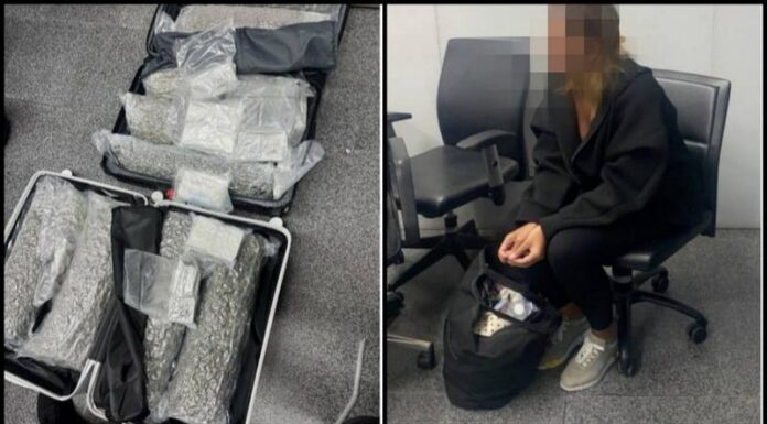 Belgian Tourist Arrested at Phuket Airport After Alleged Attempt to Smuggle 31.7kg of Cannabis
