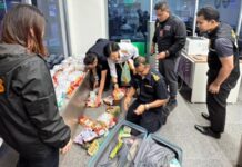 Russian Man Arrested at Phuket Airport with 17.6kg of Cannabis Worth 9.5 Million Baht