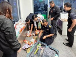 Russian Man Arrested at Phuket Airport with 17.6kg of Cannabis Worth 9.5 Million Baht