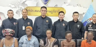 Five African Women Who Came to Thailand to Teach English Overstayed Visas by Up to 799 Days Koh Samui visa overstays investigation by Thai immigration police